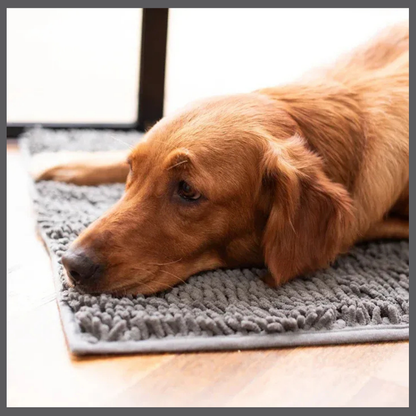 PawClean™ – Tapis Absorbant Anti-Traces
