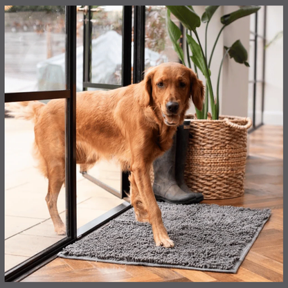 PawClean™ – Tapis Absorbant Anti-Traces
