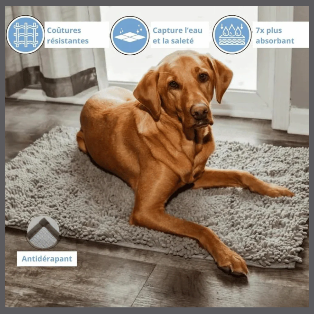 PawClean™ – Tapis Absorbant Anti-Traces