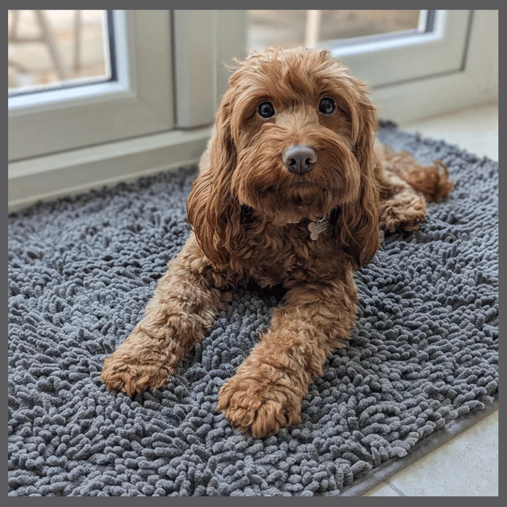 PawClean™ – Tapis Absorbant Anti-Traces