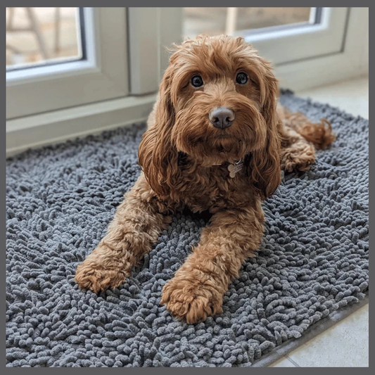 PawClean™ – Tapis Absorbant Anti-Traces