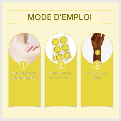 BelliSain™ – Bien-Être & Légèreté au Quotidien